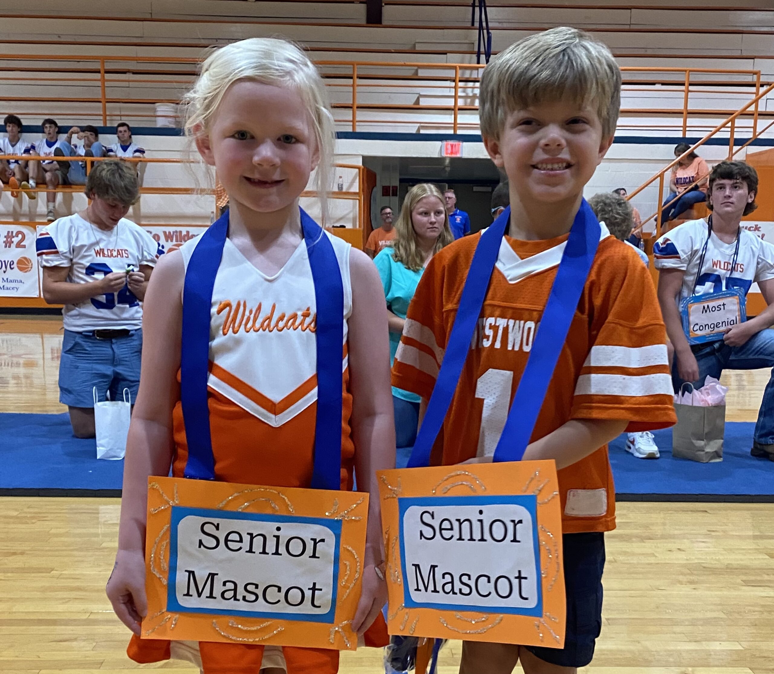 Mascots westwood schools