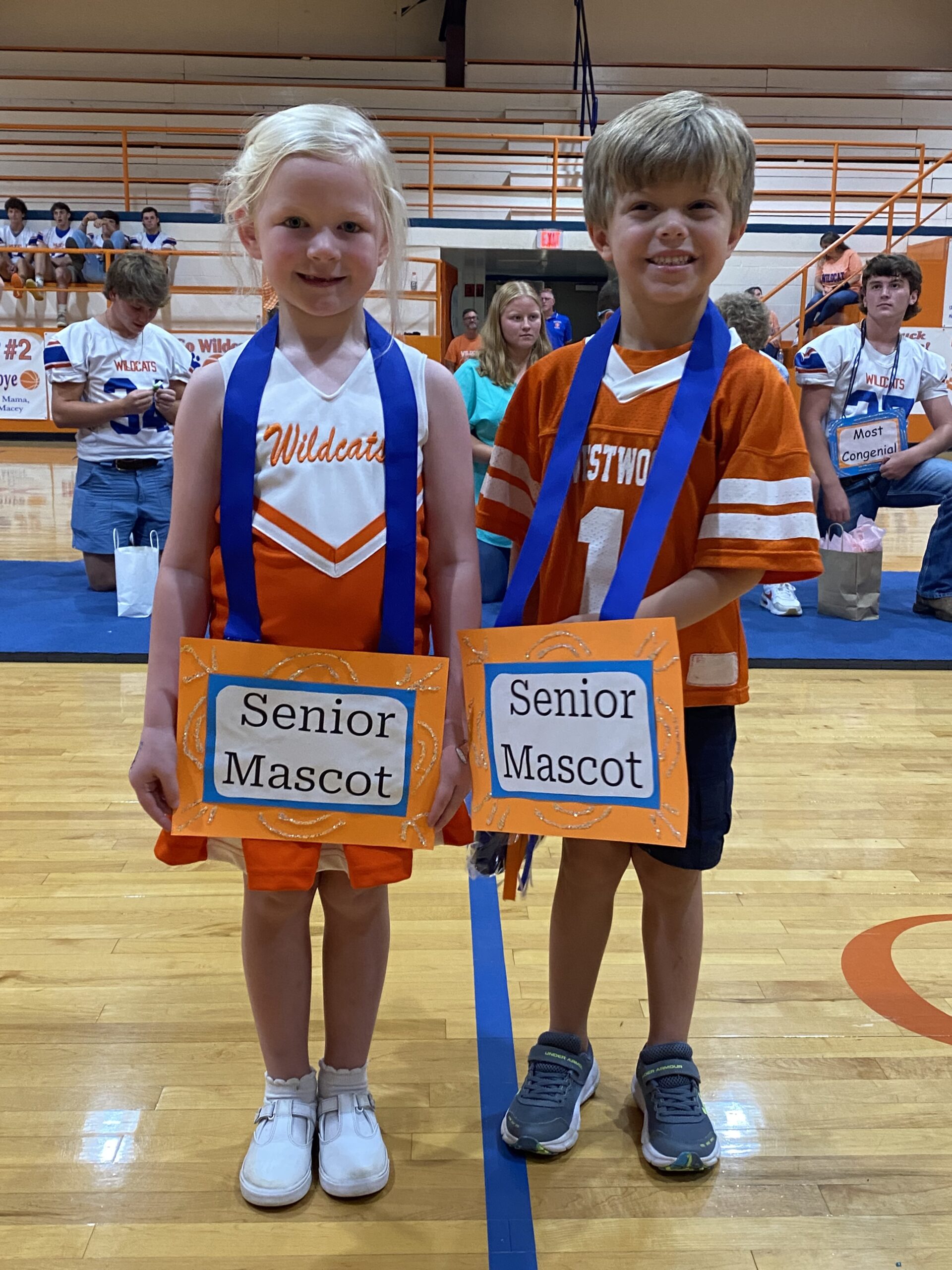 Mascots Westwood Schools Mascots Westwood Schools